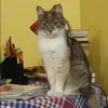 Отзыв от Ольга Сухарева